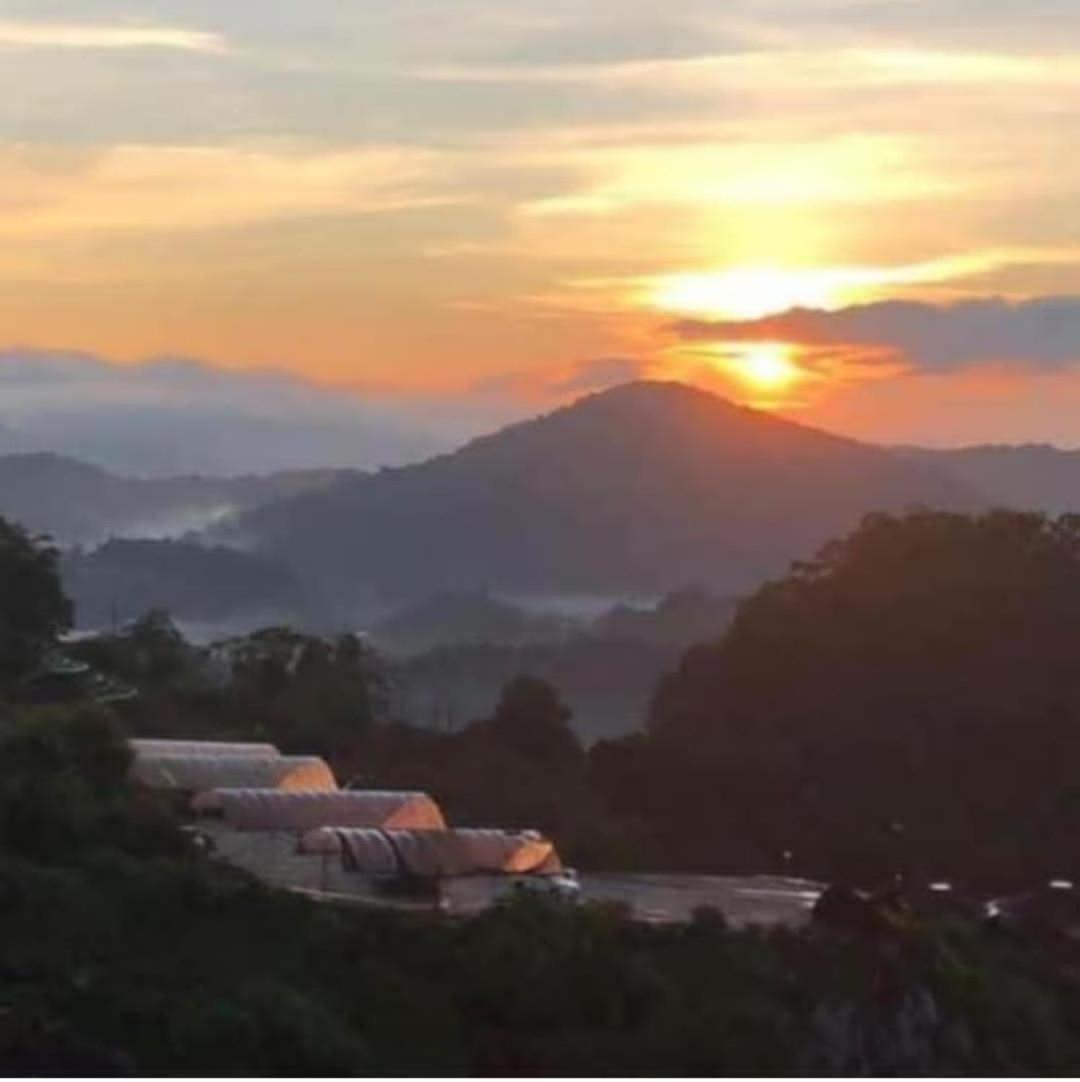 Kensington Sunrise At Sg Palas,Palashorizon تاناه راتا المظهر الخارجي الصورة